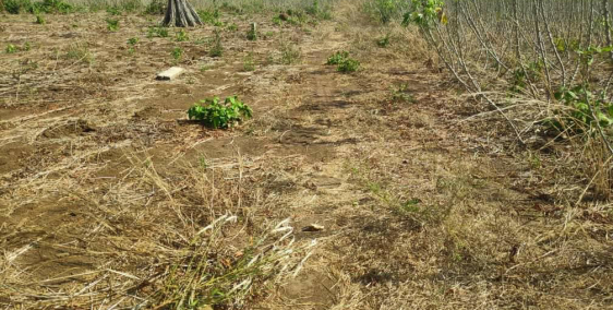 bán đất xã Phước Long Thọ 