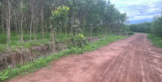 Chính chủ cần bán lô đất 9sào8 164m mặt tiền đường sỏi