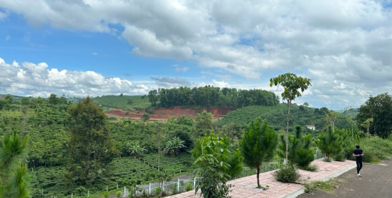 Bán Gấp Đất Nền 1001m² Phường Lộc Phát, Bảo Lộc – Giá Chỉ 2,9 Tỷ.