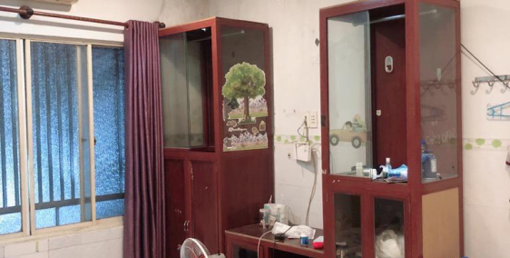 2 tỷ hơn có nhà ở hẻm xe hơi trung tâm tân bình quá rẻ 