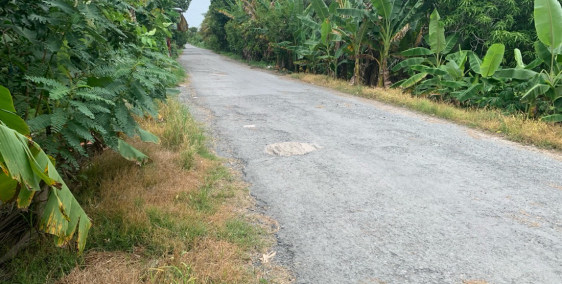 Nền Tân An Luông Đường Nhựa 8 Tấn 