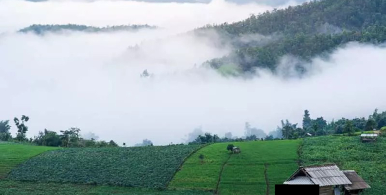 bán đất săn mây, Xuân Trường, Cầu Đất, Đà Lạt, thổ cư, hoàn công