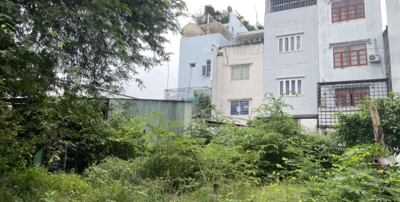 BÁN GẤP LÔ ĐẤT KDC TÂN THUẬN NAM – ĐƯỜNG RỘNG, CÓ VỈA HÈ – SỔ HỒNG RIÊNG