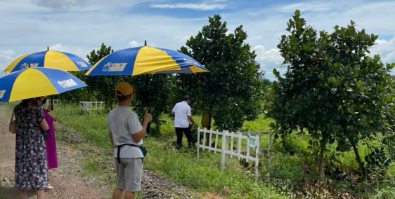 BÁN LÔ ĐẤT VƯỜN 1.000M² – MẶT TIỀN GẦN QUỐC LỘ 20, XÃ LA NGÀ – SỔ SẴN, CÔNG CHỨN