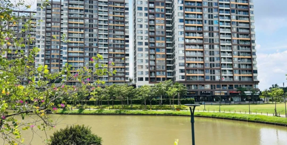 𝐂𝐚̆𝐧 𝐡𝐨̣̂ 𝐜𝐚𝐨 𝐜𝐚̂́𝐩 𝐓𝐫𝐞𝐥𝐥𝐢𝐚 𝐂𝐨𝐯𝐞–𝐌𝐢𝐳𝐮𝐤𝐢 𝐏𝐚𝐫𝐤, 𝐍𝐚𝐦 𝐒𝐚̀𝐢 𝐆𝐨̀𝐧 