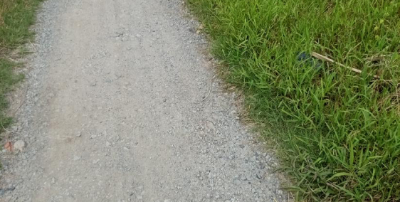 sang nhượng đất nền 