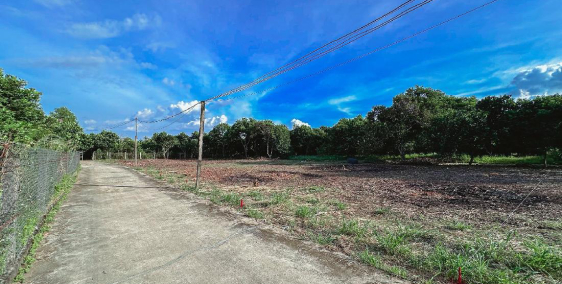 Đất nền TCSR P. Bình Lộc gần các tiện ích đầy đủ. 