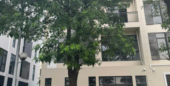 nhà shop house mặt đường xuân tảoEpic’s Home Bắc Từ LiêmEpic’s Home Bắc Từ Liêm