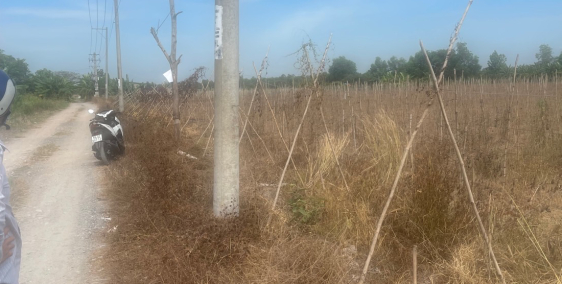 kẹt tiền gần bán 2hecta đất khu vực chợ Lê Minh Xuân giá rẻ