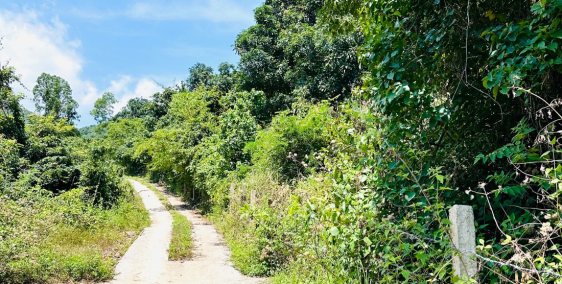 BÁN LÔ ĐẤT MẶT TIỀN HƠN 100M – CƠ HỘI ĐẦU TƯ SIÊU LỢI NHUẬN TẠI NHA TRANG!