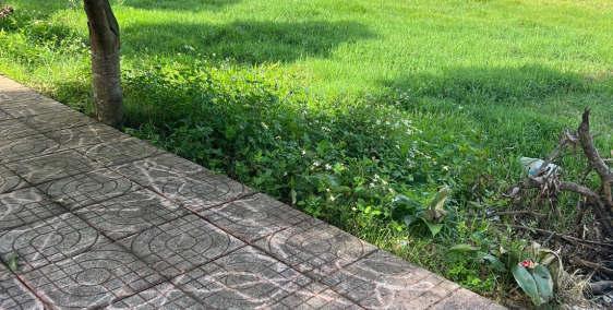 đất đẹp không tỳ vết hãy nhanh đầu tư để co lợi nhuận cao