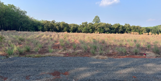 Bán Đất Chính Chủ Sẵn Sổ