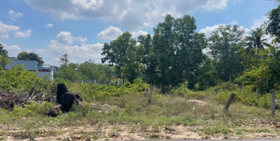 ĐẤT NGỘP MẶT TIỀN NGUYỄN BỈNH KHIÊM-FULL THỔ-GIÁ CHỈ 1.3 TỶ