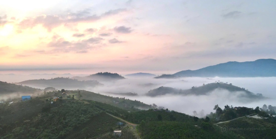  View đồi bát úp, 2 mặt tiền – lô đất lý tưởng cho homestay ở Bảo Lộc