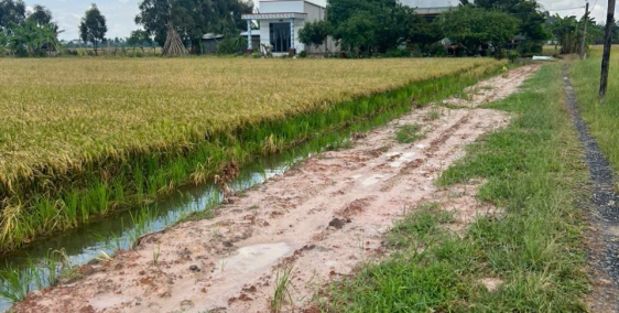 1000m vuông đất lúa vị trí đẹp