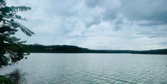 [Lộc Thắng_Bảo Lộc] mảnh đất TCLN nép mình bên rìa hồ, chờ chủ nhân mới