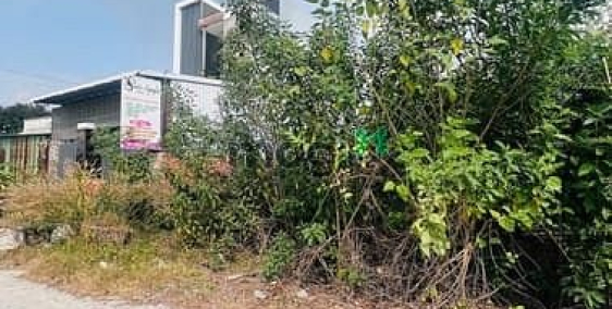 Bán đất thổ cư: Đất Củ Chi, chủ cần bán nhanh bán gấp, giá thương lượng sâu.