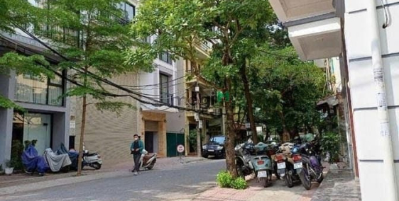 Bán nhà riêng: Bán nhà Phố VIP Ba Đình - Nở hậu - 3 Thoáng - Trước nhà 3M - Ngõ 