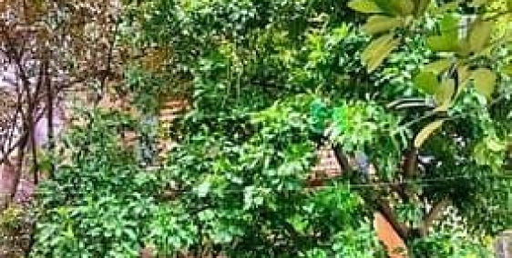 Bán nhà riêng: P.lô _ Cán Bộ Sài Đồng_5 Tầng*105m+ MT7m Vỉa Hè Ô TÔ ĐỖ ngày đêm