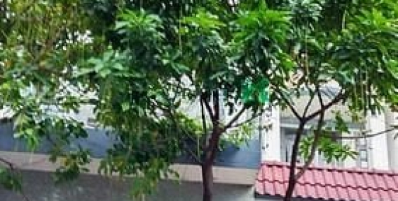 Bán nhà riêng: MTKD 6 tầng thang máy Mai Xuân Thưởng Q6, 100m2 4.5x19 nở hậu,30 