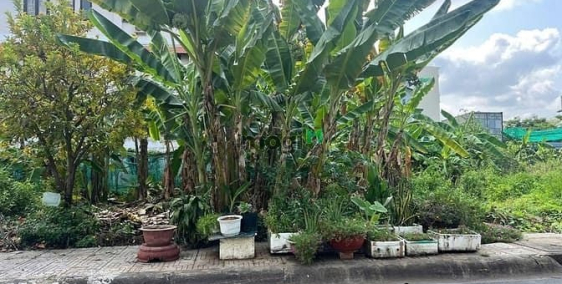 Bán nhà riêng: Bán Gấp Lô Đất Đẹp Vuông Vắn Khu Dân Cư Văn Minh, 10x16 chỉ 30,4 