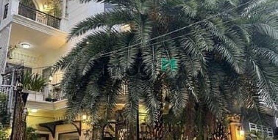 Bán biệt thự: Bán Biệt Thự Góc 2 Mặt Tiền Khu Nội Bộ VIP Đường Trần Quốc Toản Q.