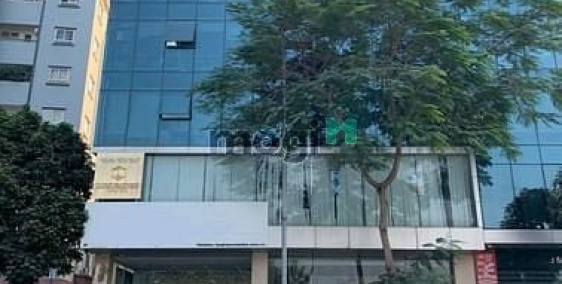 Bán biệt thự: Bán tòa nhà phố Xã Đàn - 8 Tầng- Mặt tiền khủng- Dòng tiền  4Tỷ/ n