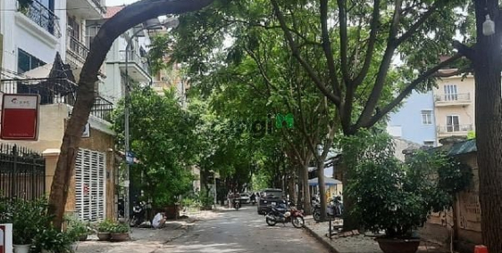 Bán nhà phố dự án: Biệt thư, liền kề KĐT Trung Hòa, Thang máy, 2 thoáng trước sa