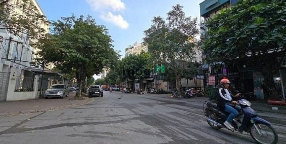 Bán nhà phố dự án: Bán Biệt thự KĐT Tây Nam Linh Đàm, vị trí hiếm trung tâm, thô