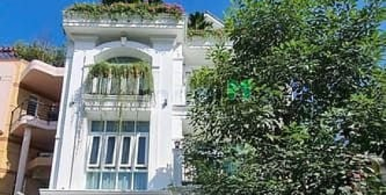 Bán biệt thự: Nhà Nguyễn Trọng Tuyển, P.1Tân Bình| DT 8x22m (180m²), 67 tỷ xíu