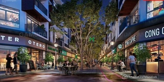 Bán nhà riêng: Nhận booking Siêu phẩm nhà phố Artisan Park TP Mới Bình Dương