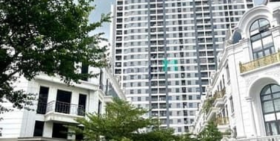 Bán biệt thự: Shophouse Liền kề 31ha Trâu quỳ, 5 tầng thang máy 85m2 - MT 6m