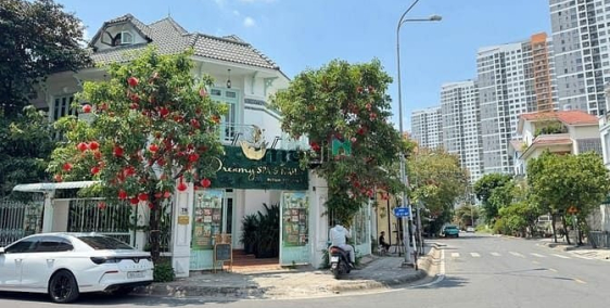 Bán biệt thự: Biệt Thự Siêu Đẹp Căn Góc 10x16 chỉ 36 tỷ