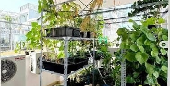 Bán nhà riêng: [Phường Bàn Cờ] Bán Nhà 5 Tầng HXH 10M –Kinh Doanh Sầm Uất –Chỉ 9