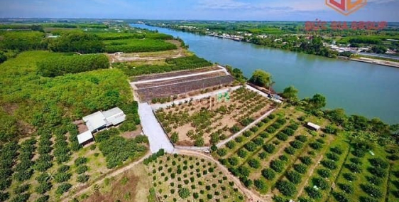 Bán nhà riêng: Bán nhà vườn ven sông Đồng Nai xã Bình Lợi, sổ hồng 1607m2 giá 6.