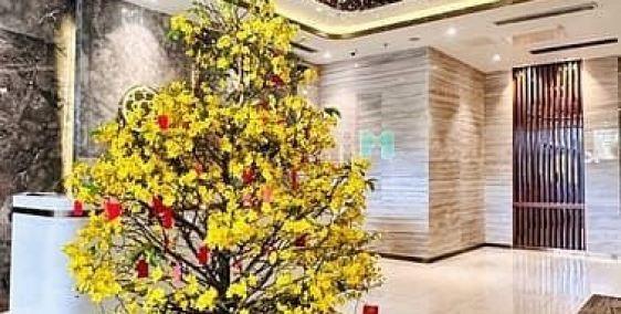 Bán căn hộ chung cư: Giỏ hàng hơn 100 căn chuyển nhượng Hà Đô Centrosa Quận 10