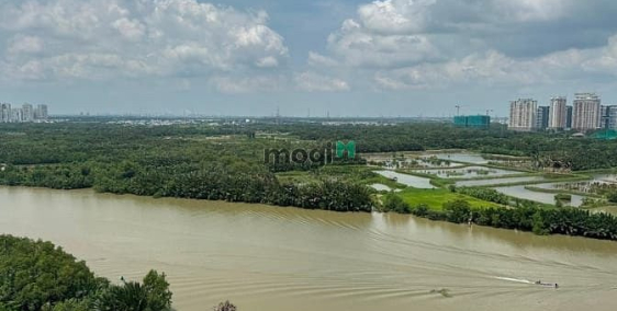 Bán căn hộ chung cư: Bán CH cao cấp THE PANORAMA – Trần Văn Trà, Phú Mỹ Hưng, Qu