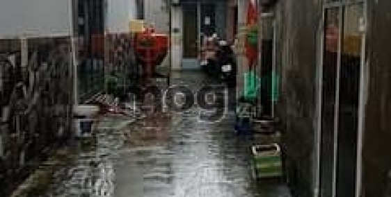 Bán nhà riêng: Bán nhà Q8 - hẻm ba gác tới nhà - Bông Sao - 50m2 full thổ- chỉ 3