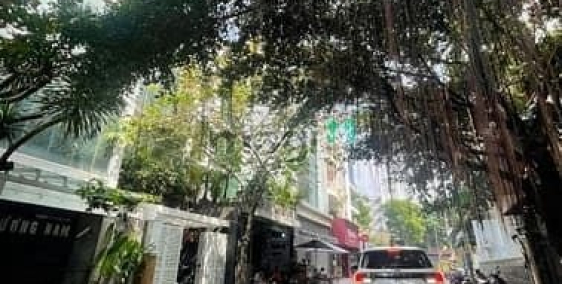 Bán nhà riêng: Bán gấp nhà hẻm xe hơi Tô Hiến Thành, Nguyễn Giản Thanh, 4x16m, Q