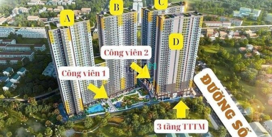 Bán căn hộ chung cư: sở hữu căn hộ 2pn tại trung tâm thủ đức chỉ 225 triê