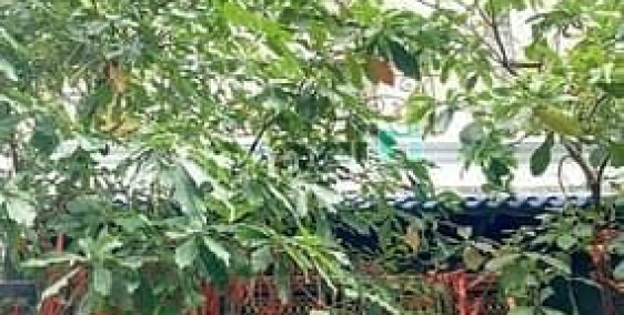 Bán nhà riêng: Bán Nhà - Khu Vip - 60m2 - 4 Tầng - Ngang hiếm 5m - Hiệp Bình Phư