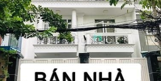 Bán nhà riêng: Biệt thự P16 Q8 hẻm 10m 125m, 4 tầng ngang 8 nở hậu giá nhỉnh 11 