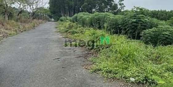 Bán đất thổ cư: Kẹt tiền bán gấp đất Long Thọ Nhơn Trạch, giá rẻ 1,3TR/M, ONT, o