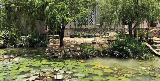 Bán đất thổ cư: Đất mặt tiền nhà vườn Đại Phước Nhơn Trạch giá rẻ,gần sông, chín