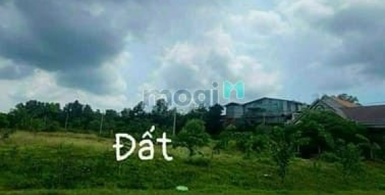 Bán đất thổ cư: Bán gấp MT Lê Hồng Phong Nhơn Trạch,giá rẻ 8,3ty/1700m,thổ cư.GỌ