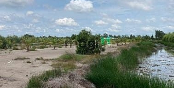 Bán đất thổ cư: Bán gấp đất nhà vườn Phú Hữu Nhơn Trạch giá rẻ 2,5TR, SR CHÍNH C