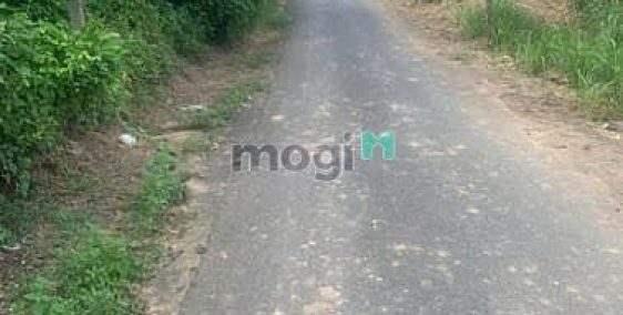 Bán đất thổ cư: Hạ giá bán lỗ đất thổ nhà vườn Nhơn Trạch, oto,giá rẻ 6ty/1754M,