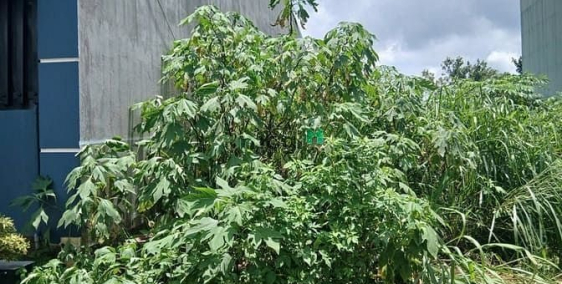 Bán đất thổ cư: Đất hẻm 26 Bế Văn Đàn, Phường Hội Phú, TP.Pleiku, Tỉnh Gia Lai