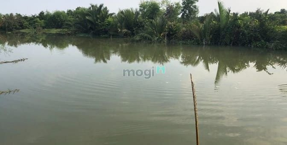 Bán đất thổ cư: Bán gấp đất nhà vườn thổ cư MT sông Phú Đông Nhơn Trạch 4,2tr/m,