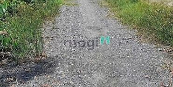 Bán đất thổ cư: Bán gấp đất thổ nhà vườn Nhơn Trạch giá rẻ 2,1TR/M, oto, SHR chí